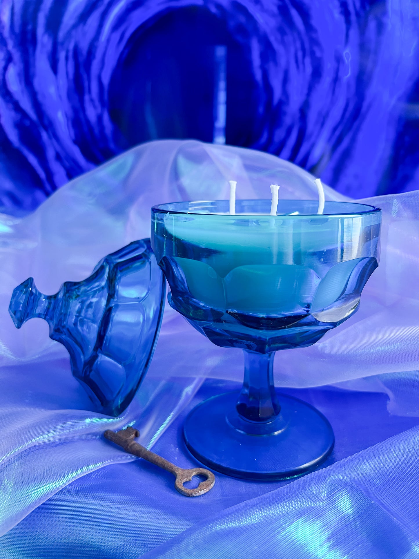 Welcome Home, Coraline