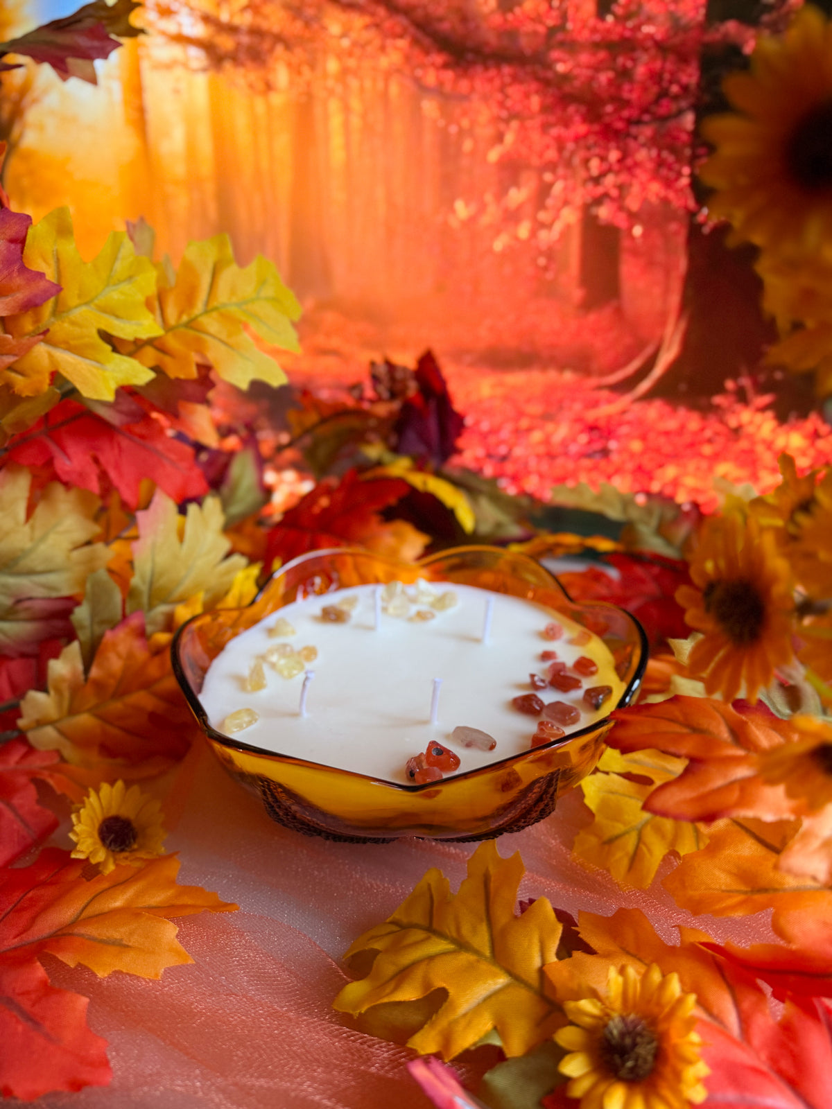 Autumn Grove