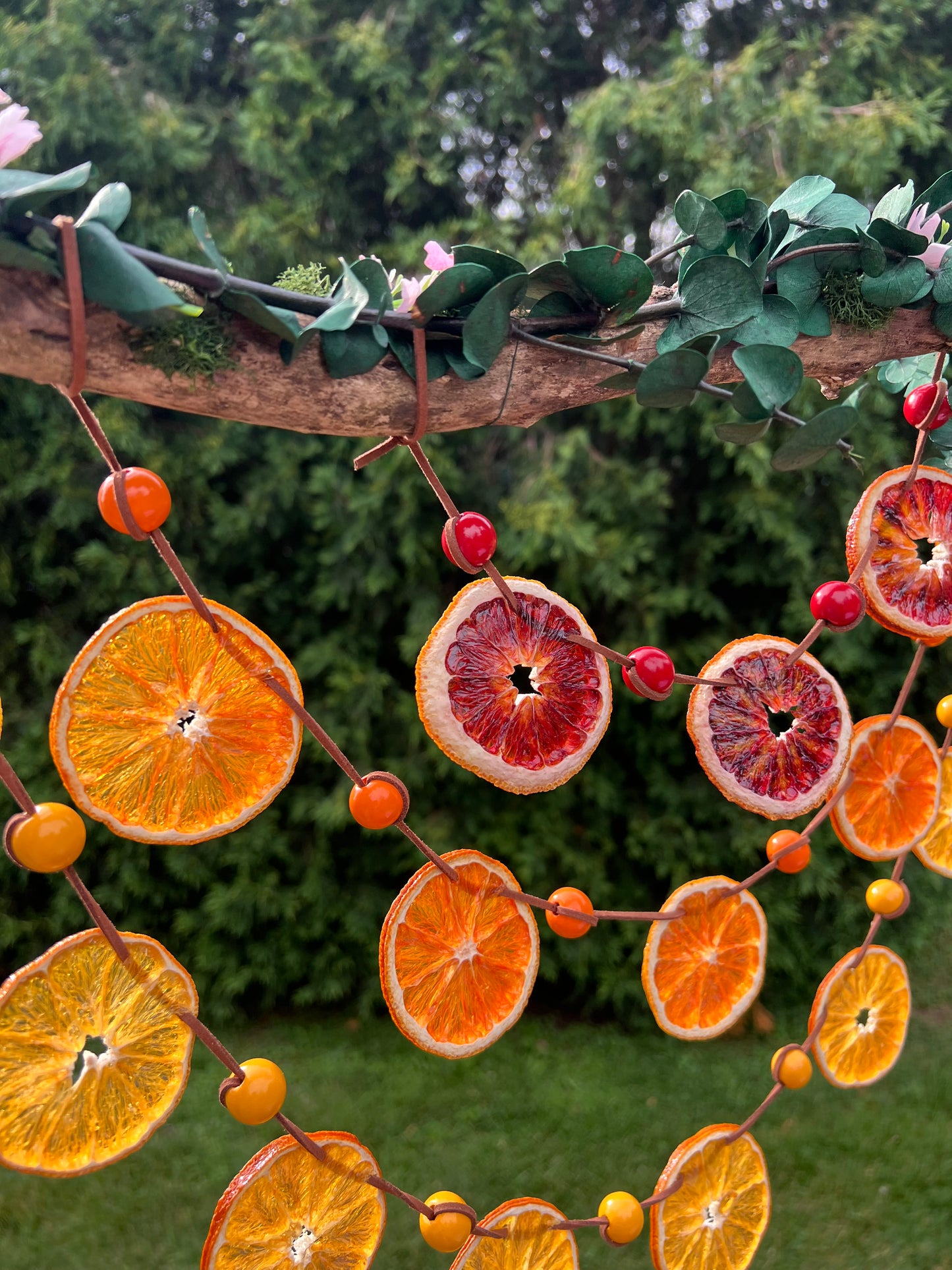 Goldenlight of the Westfarthing