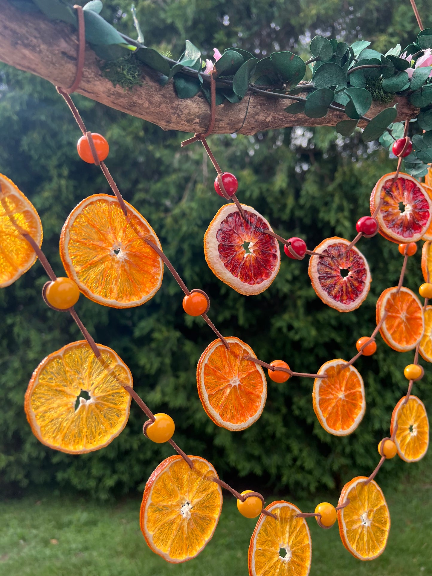 Goldenlight of the Westfarthing