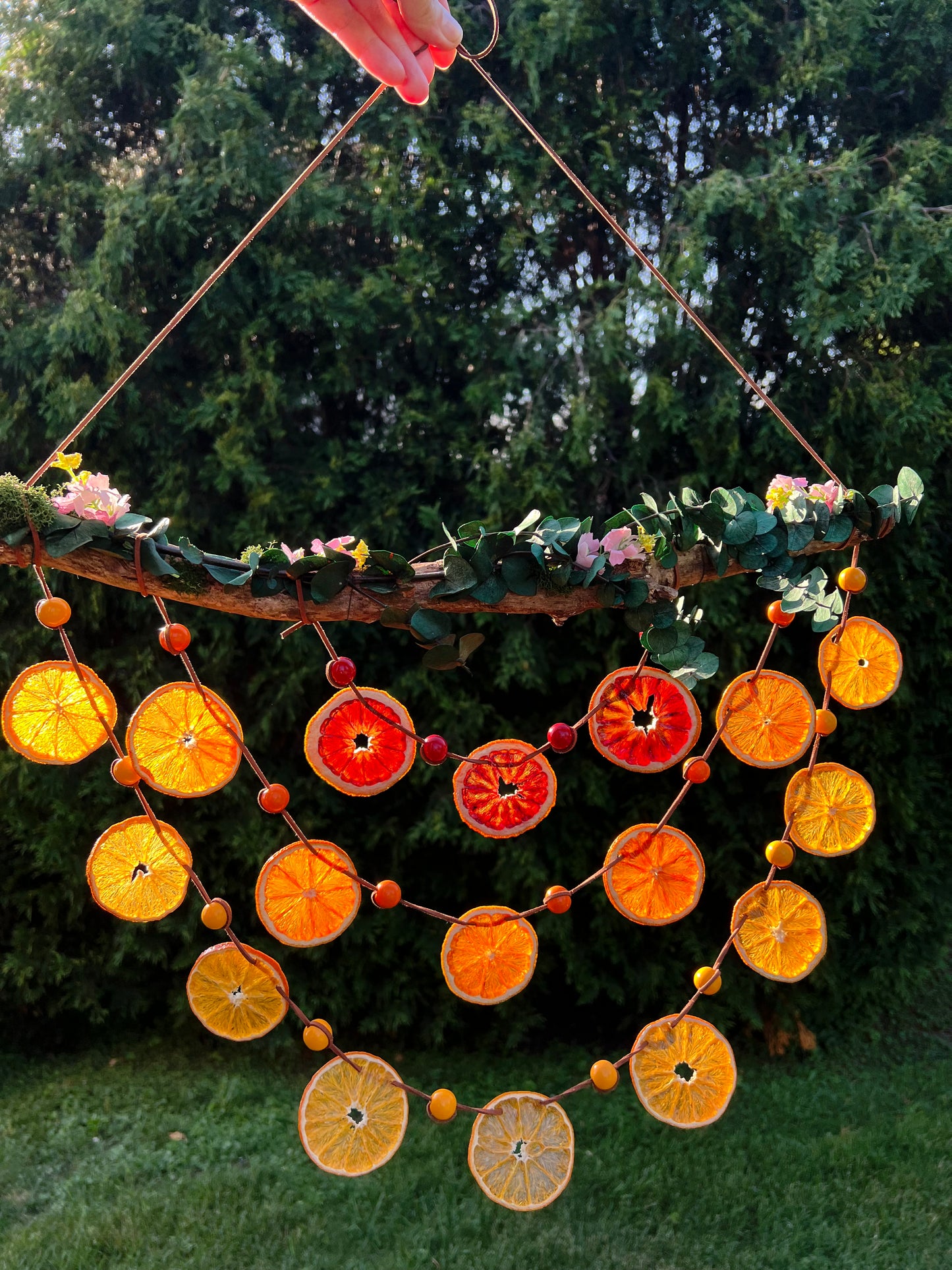 Goldenlight of the Westfarthing