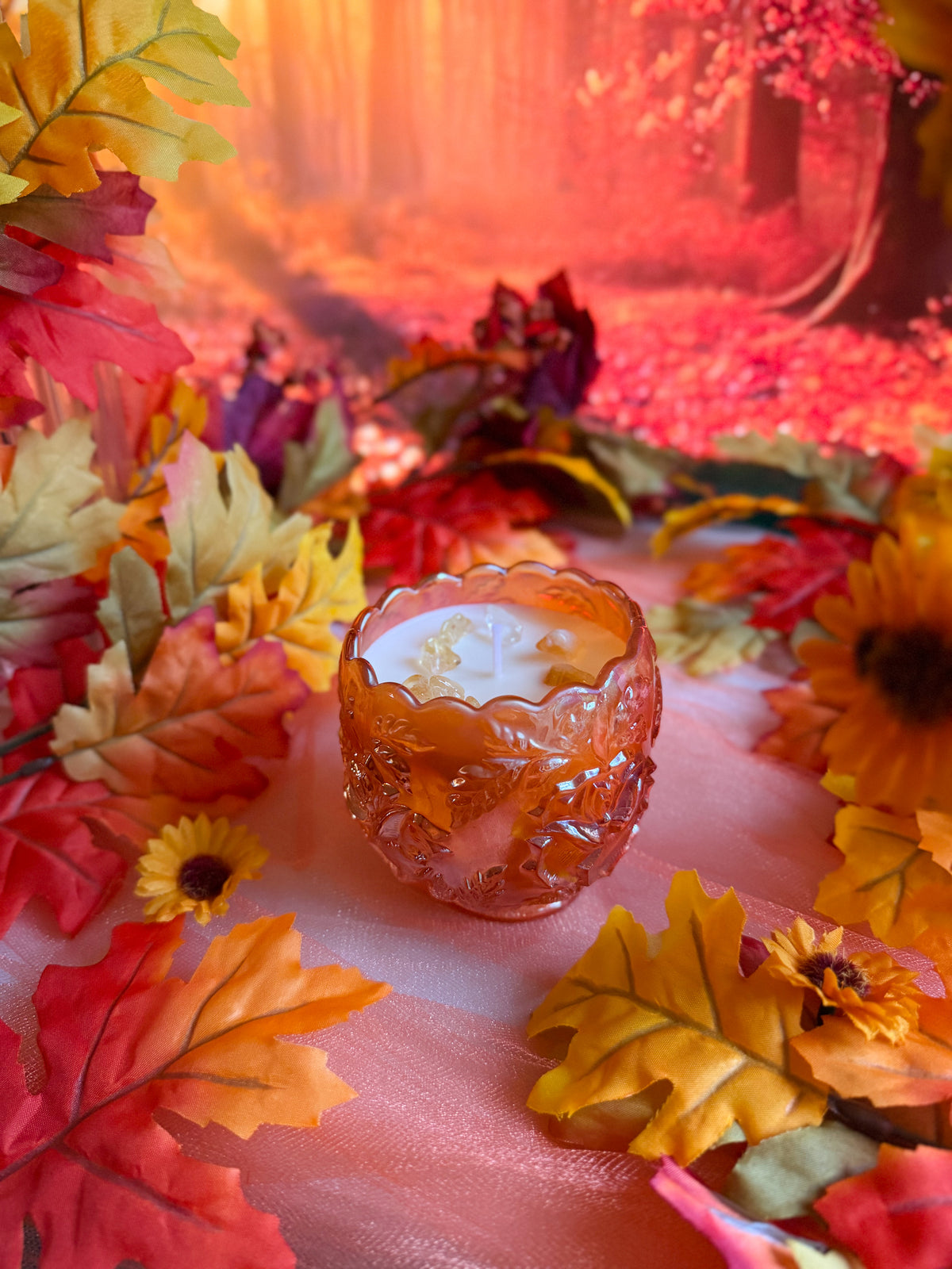Autumn Rose