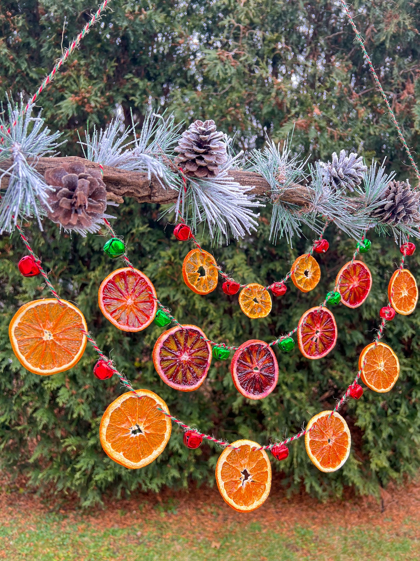 Yulewood Chime Citrus