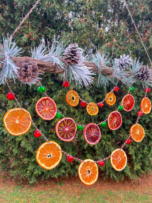 Yulewood Chime Citrus