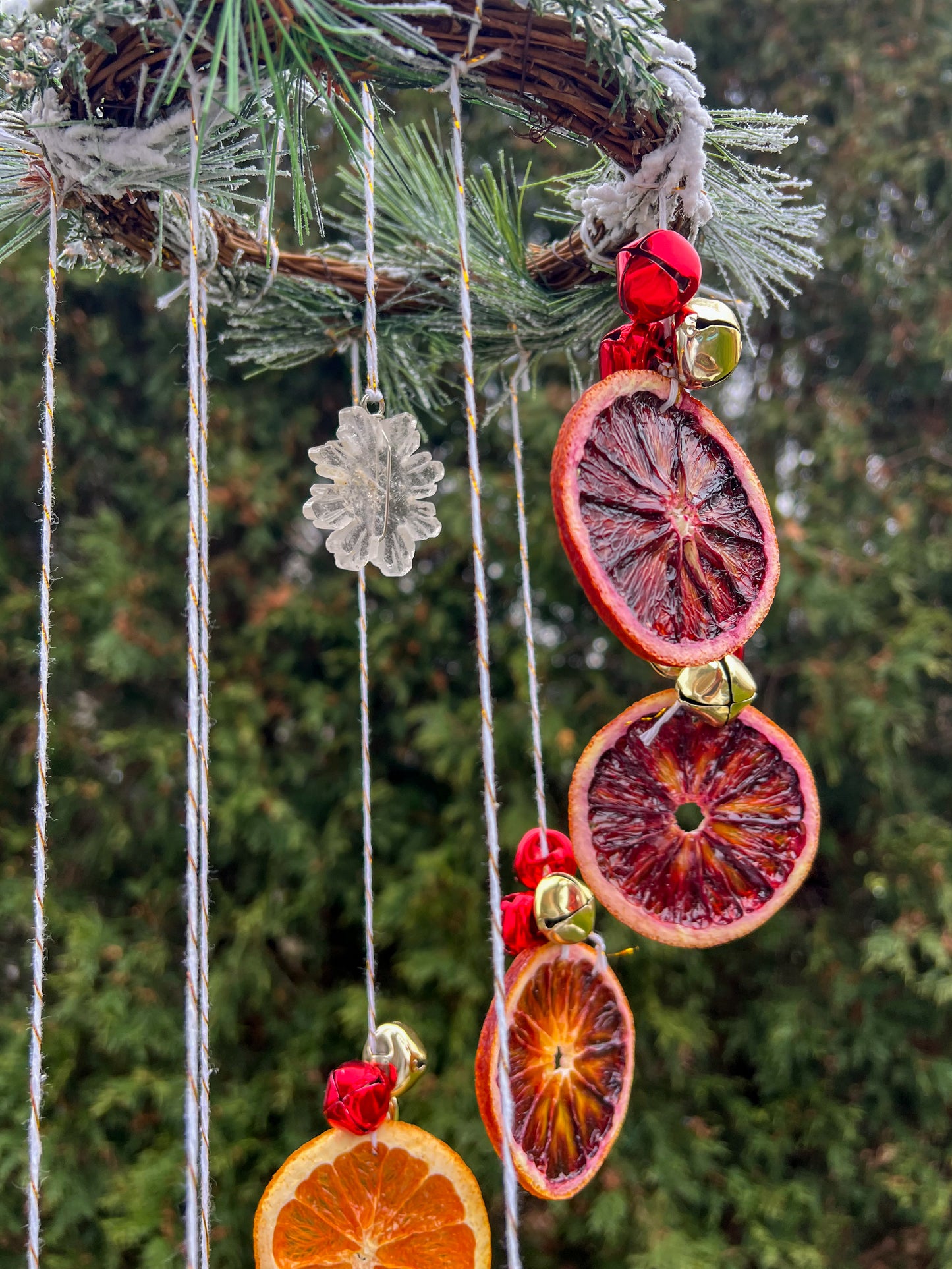 Gilded Winter Spiral Citrus