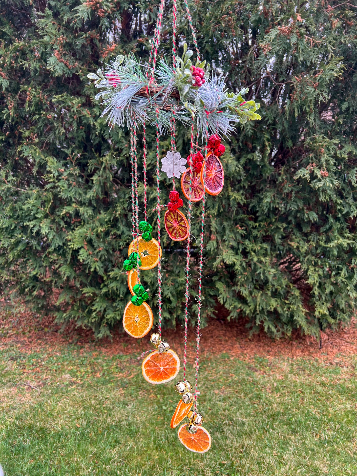 Hollyfire Solstice Spiral Citrus