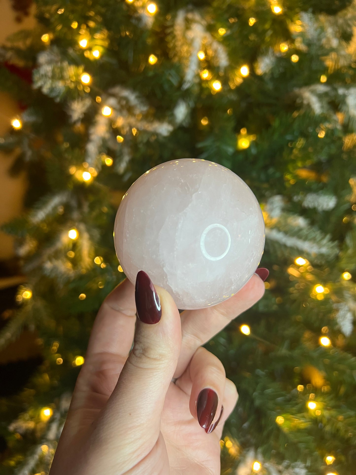 visionaryshlee story sale