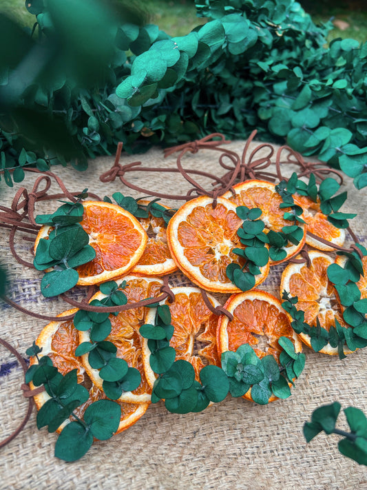 Eucalyptus & Citrus Ornament set