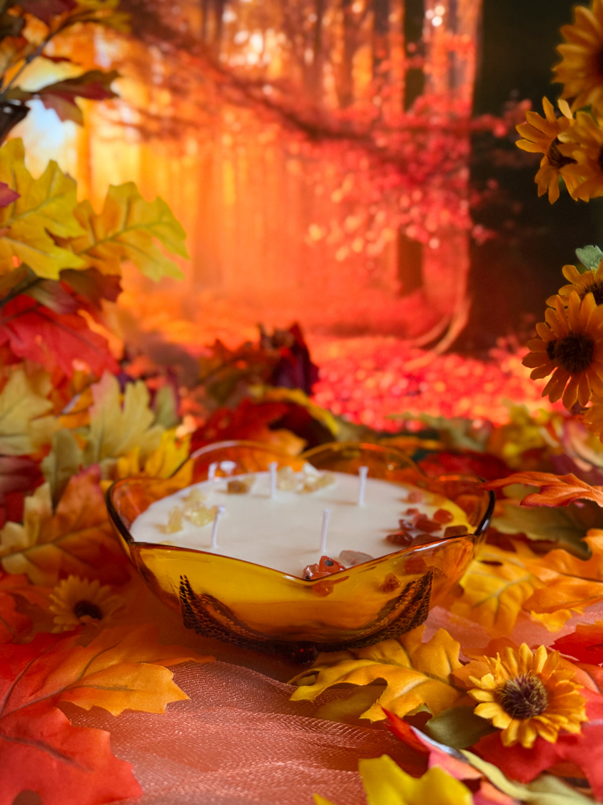 Autumn Grove