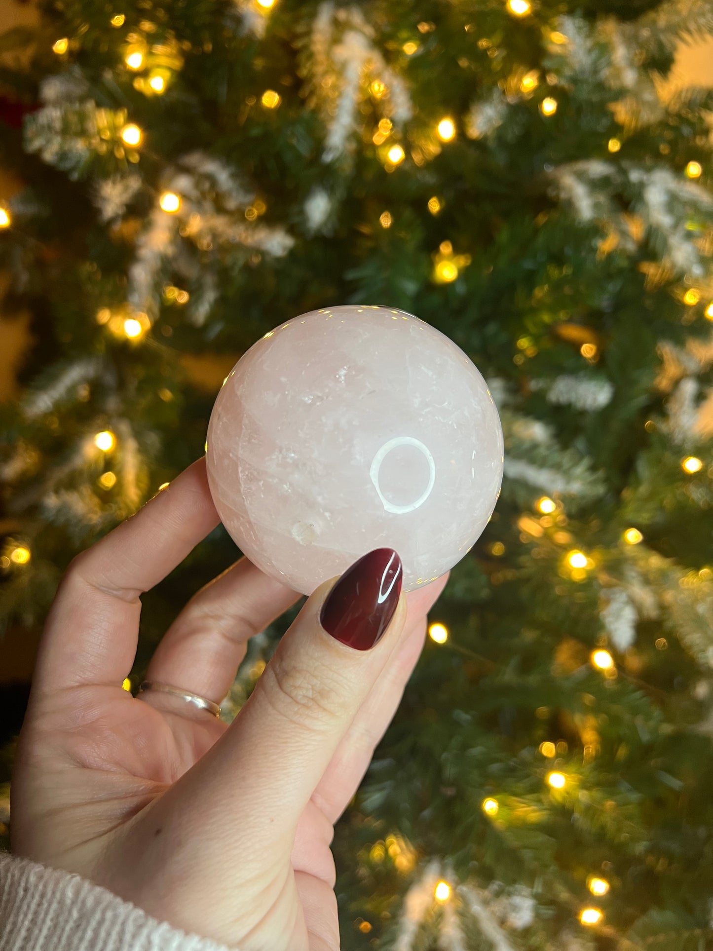 visionaryshlee story sale