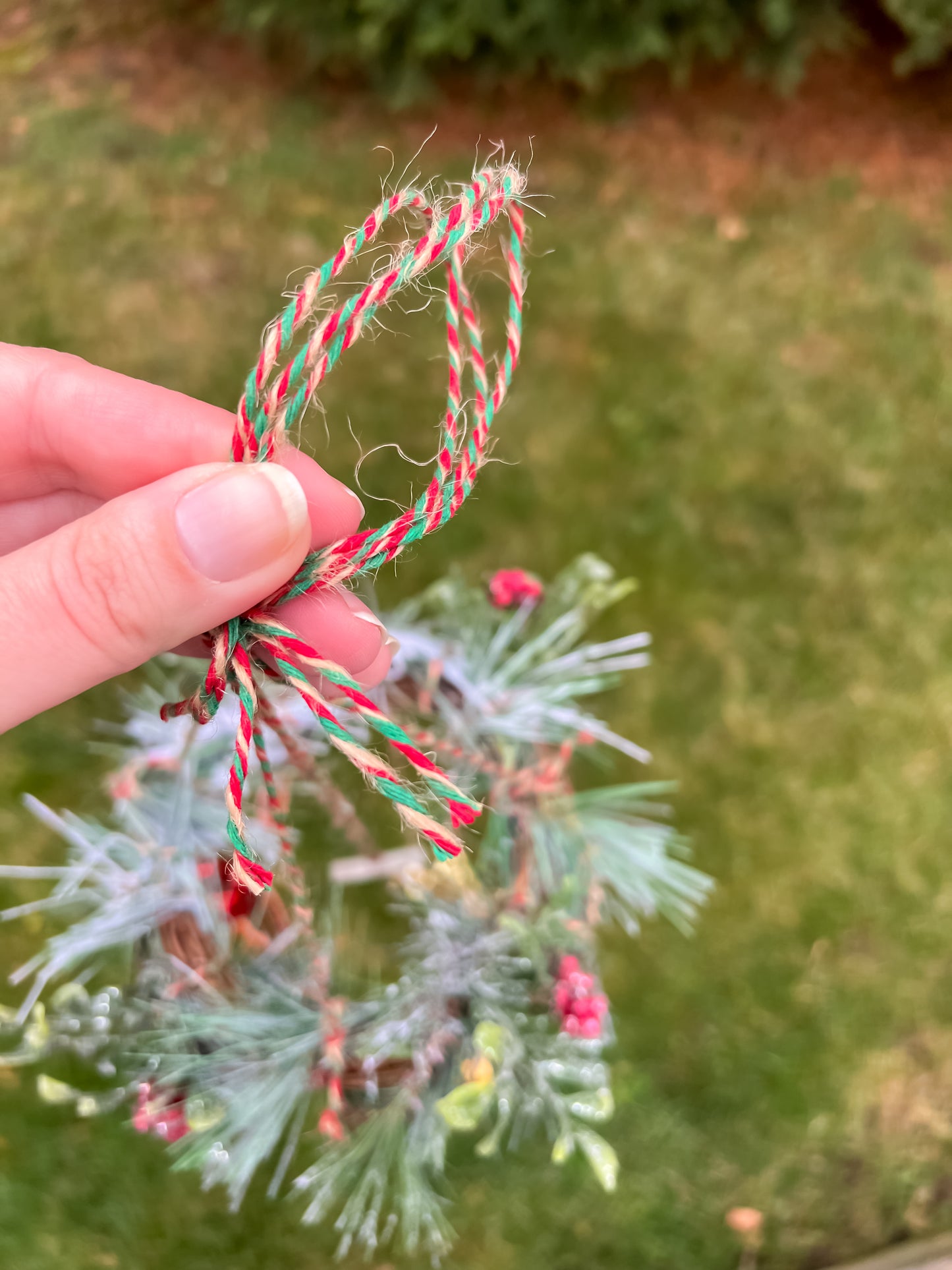 Hollyfire Solstice Spiral Citrus