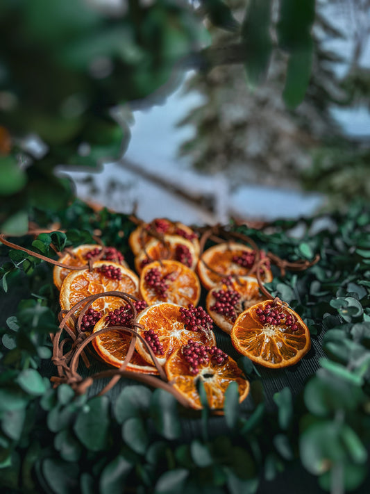 Holly & Citrus Ornament Set