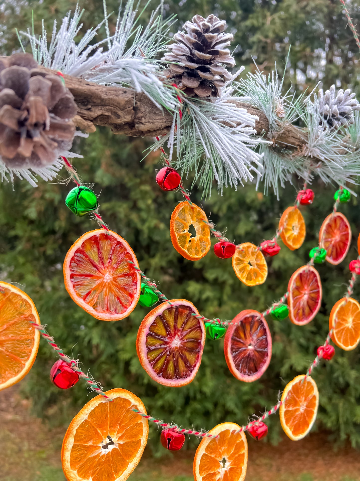 Yulewood Chime Citrus