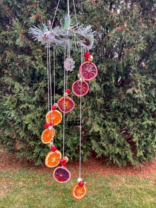 Gilded Winter Spiral Citrus