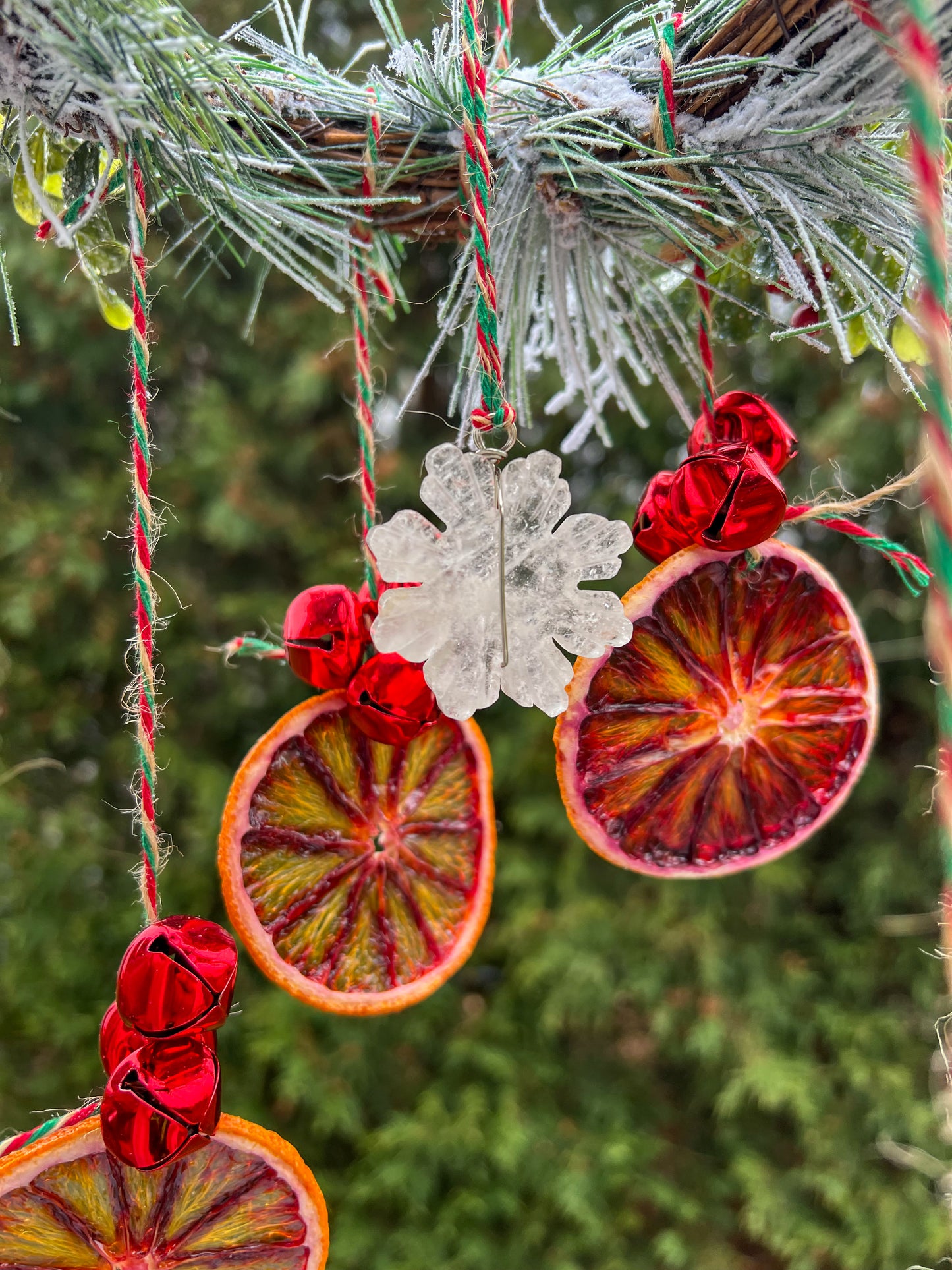 Hollyfire Solstice Spiral Citrus