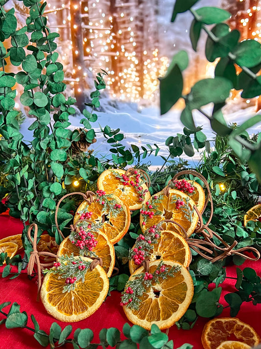 Winter Solstice Citrus Ornaments
