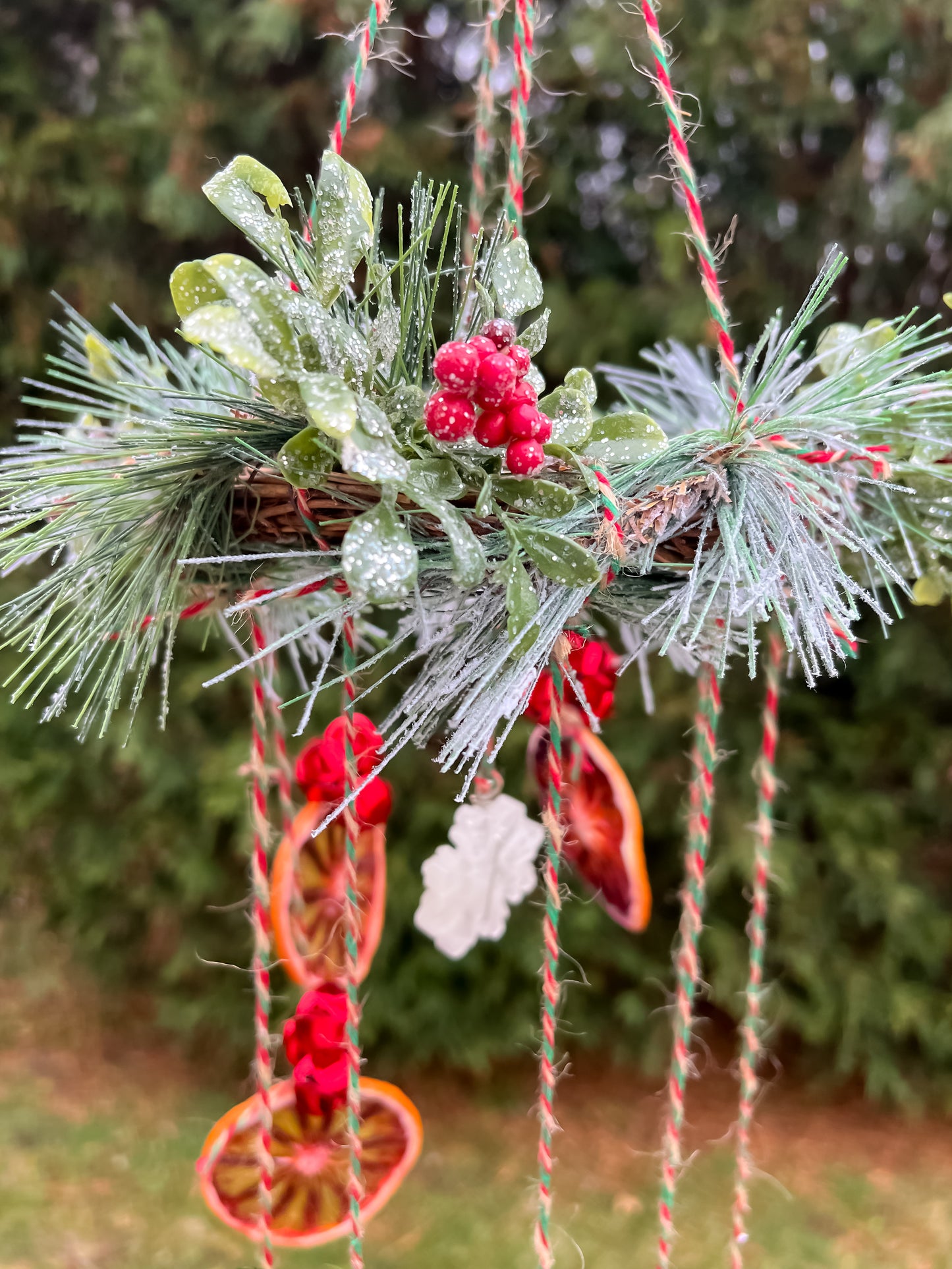 Hollyfire Solstice Spiral Citrus