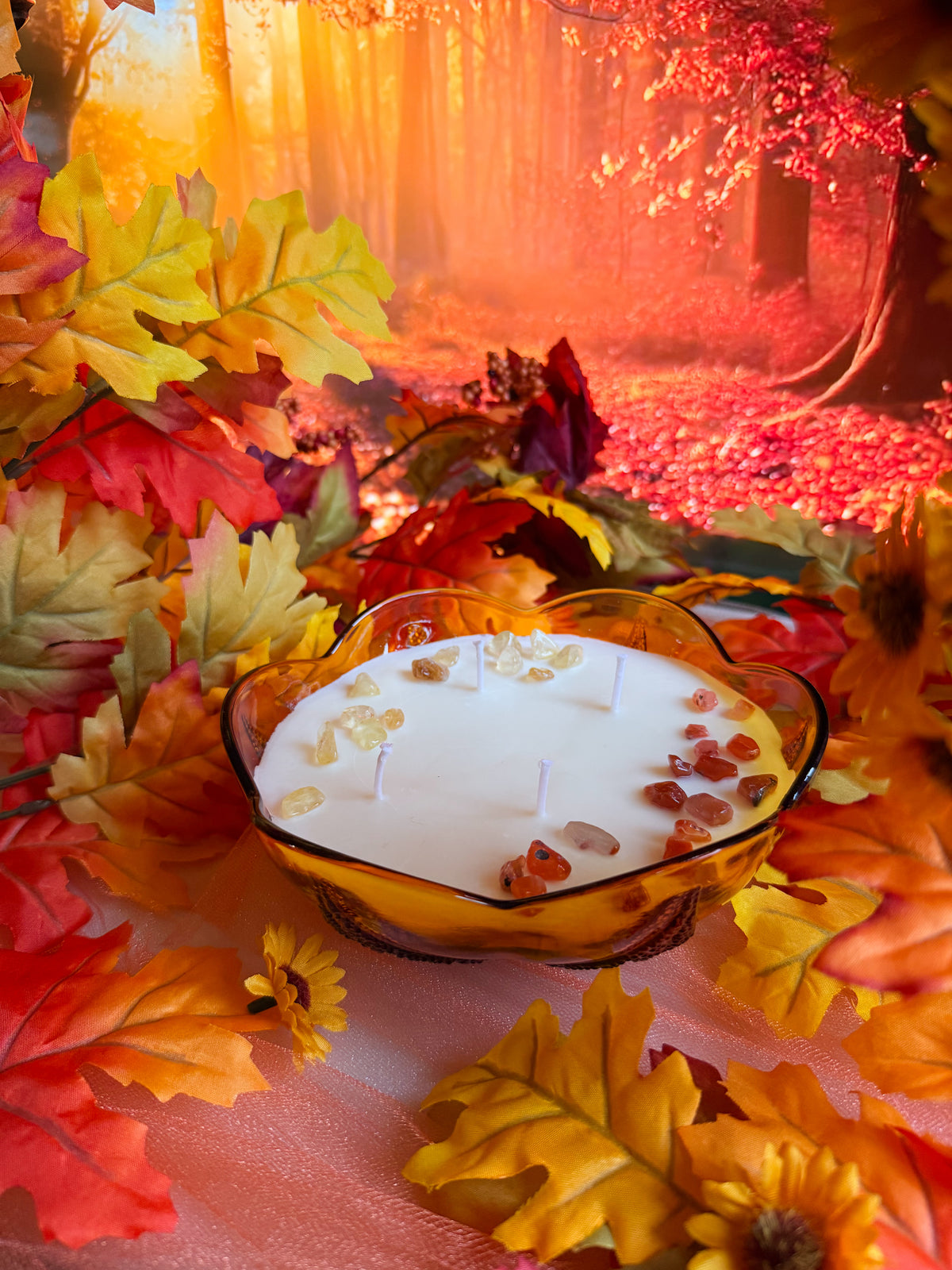 Autumn Grove