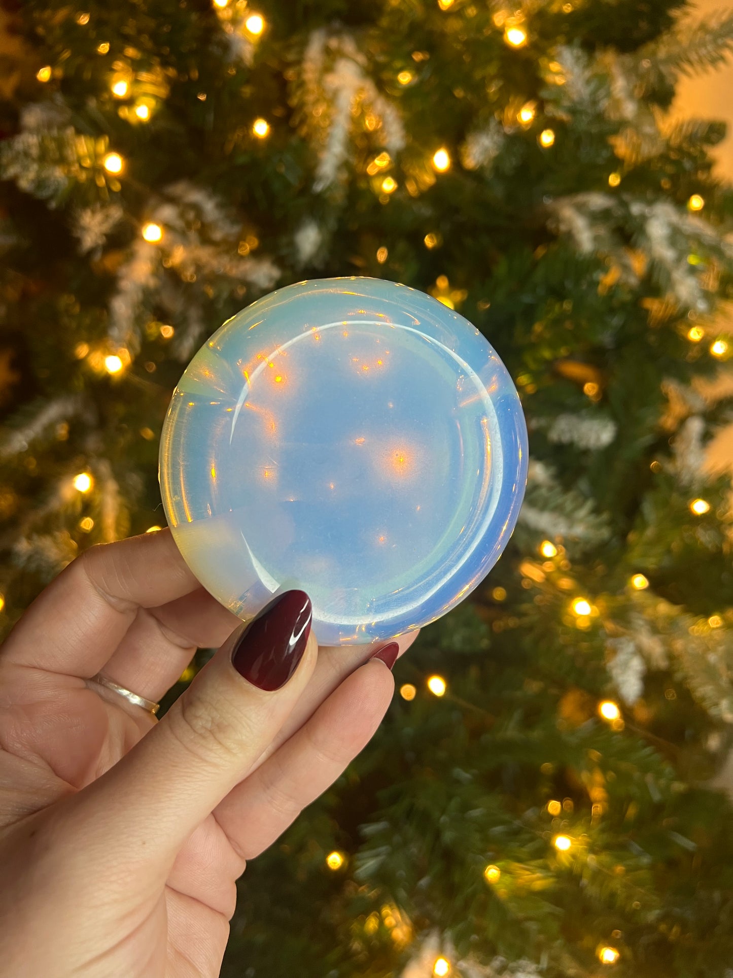 visionaryshlee story sale