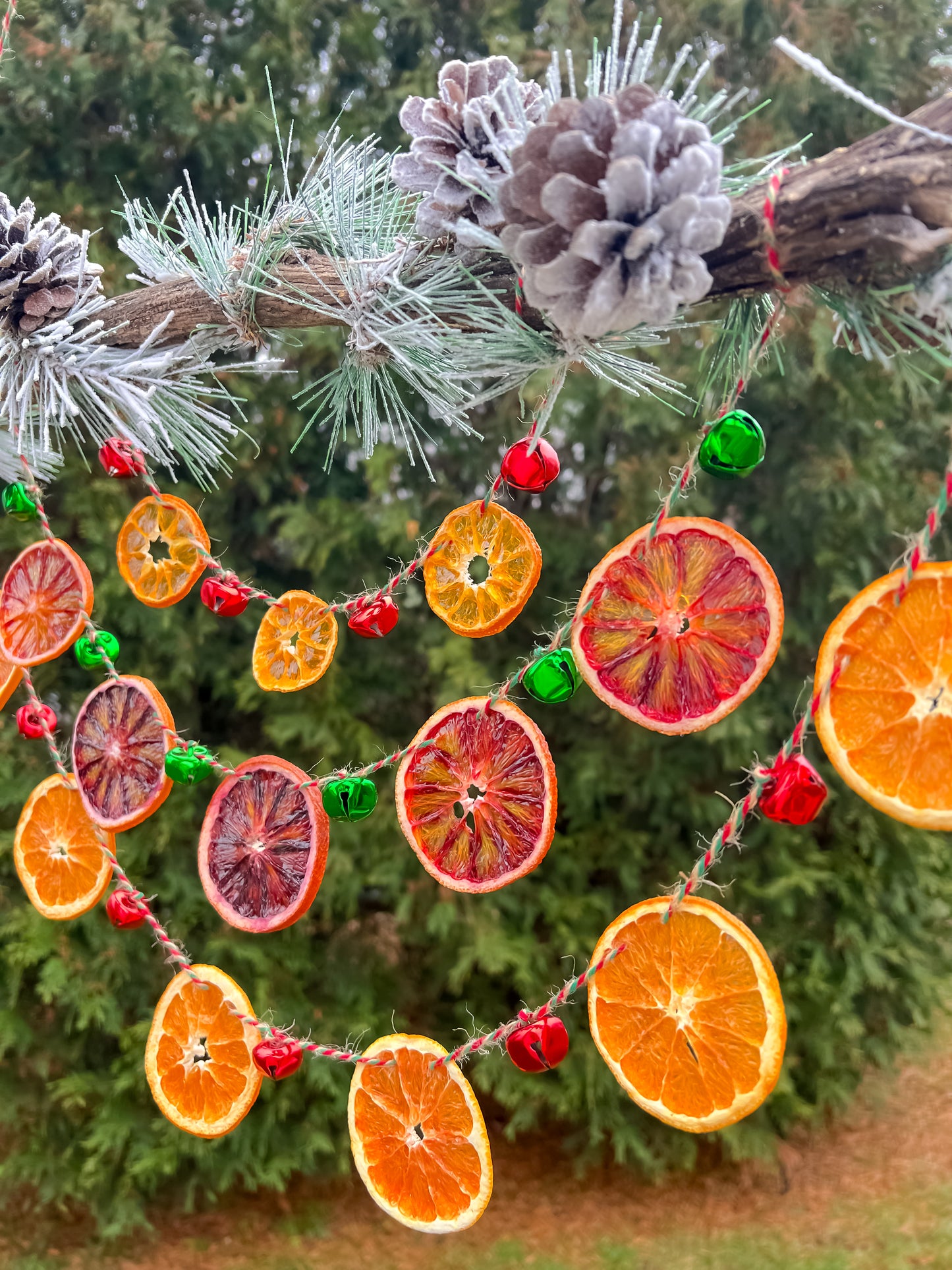 Yulewood Chime Citrus