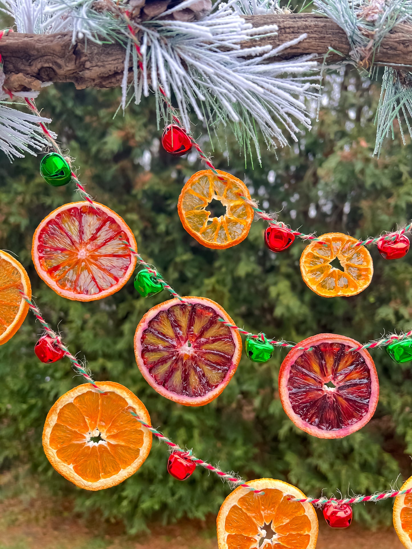 Yulewood Chime Citrus