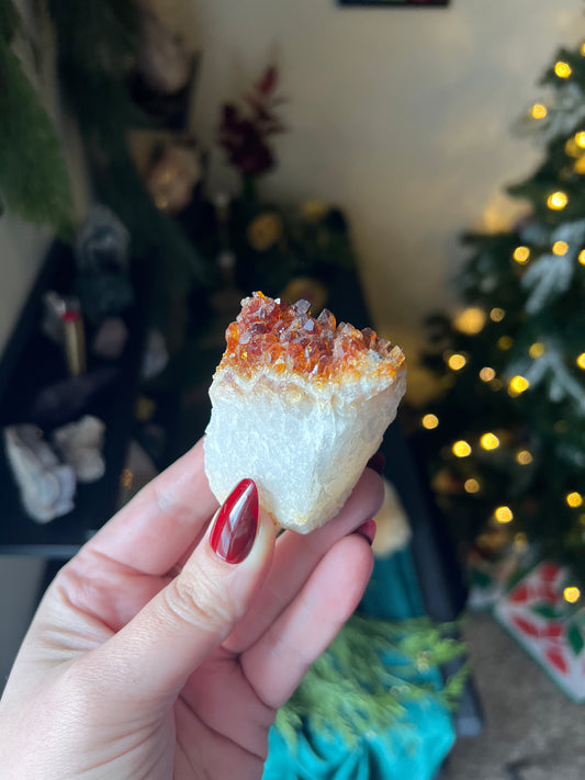 Gravey_Joneslocker story sale